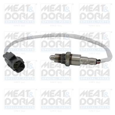 Oxygen Sensor